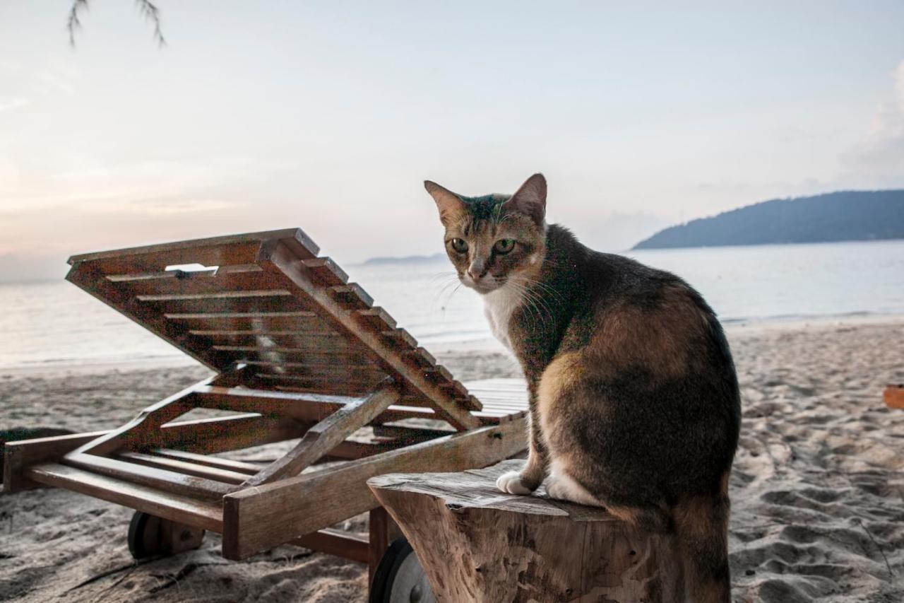 Swiss Cottage Tioman Kampong Ayer Batang Esterno foto